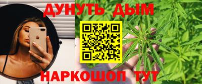 индика Кулебаки