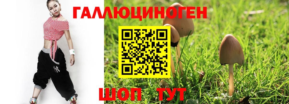 Псилоцибиновые грибы Psilocybine cubensis Екатеринбург