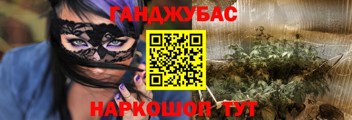 Бошки Шишки конопля  Конопля тримм  Вход с VPN  Екатеринбург  Шишки марихуана семена 